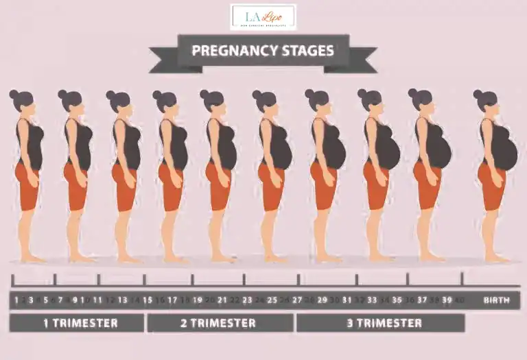 First Trimester (Weeks 1–12): Early Changes You Might Not Notice Cannock